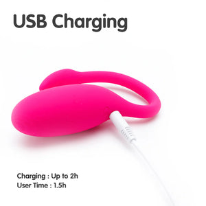 FLAMINGO 2.0 WIRELESS WORLDWIDE