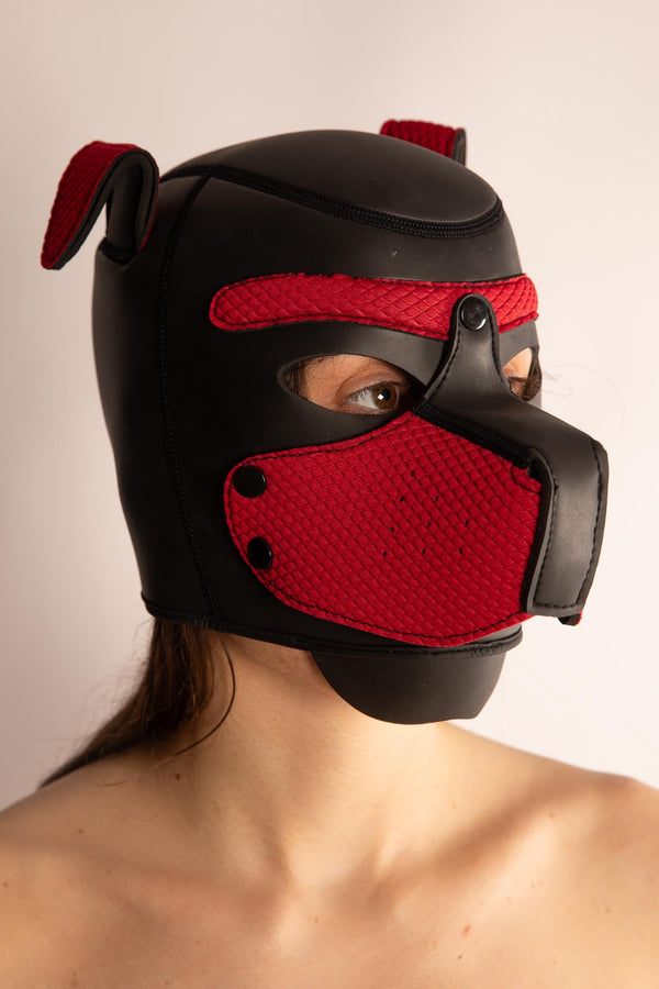 DOG SLAVE