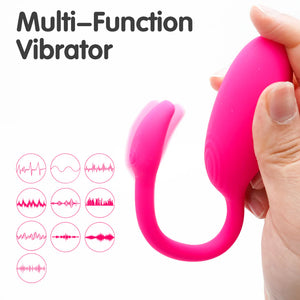 FLAMINGO 2.0 WIRELESS WORLDWIDE