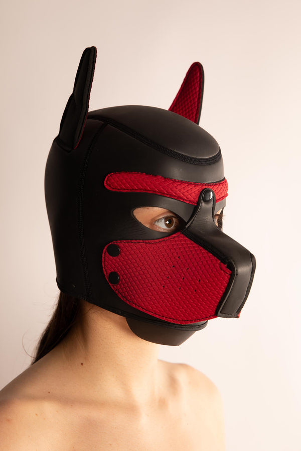DOG SLAVE