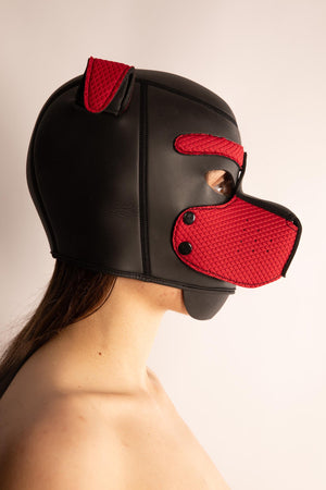 DOG SLAVE