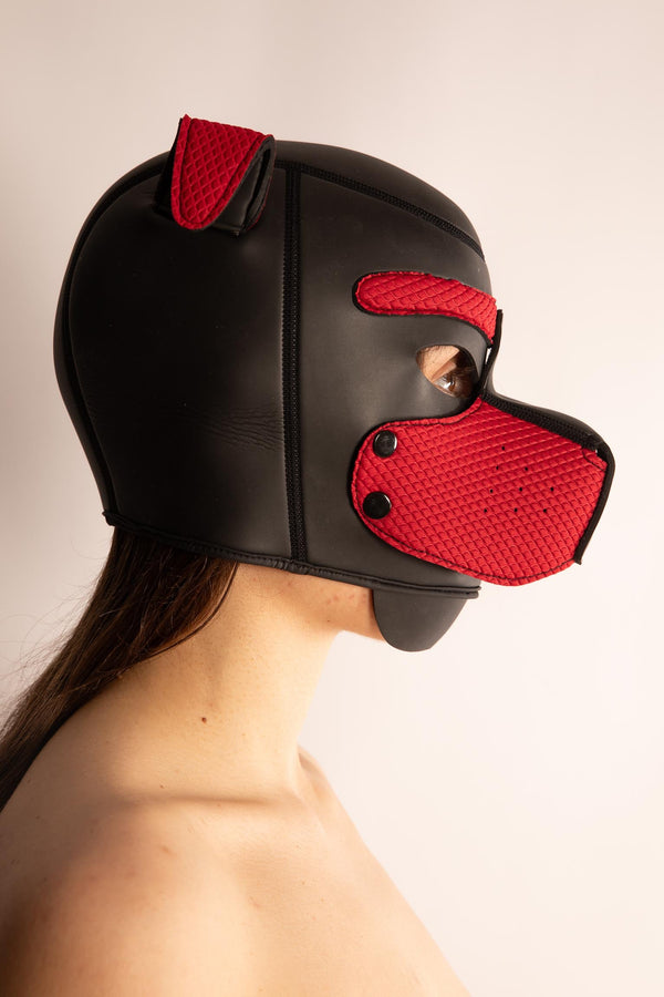 DOG SLAVE