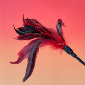 Featherlight