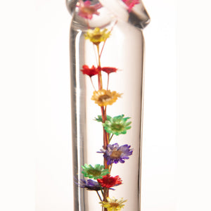 Herbarium