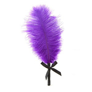 Plume
