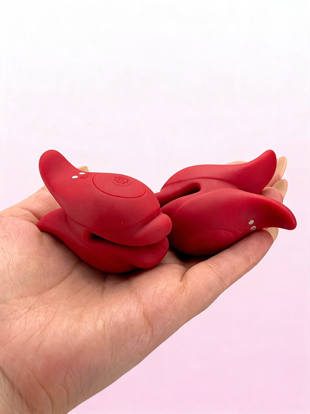 DUO SUCHER ROSES