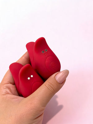 DUO SUCHER ROSES