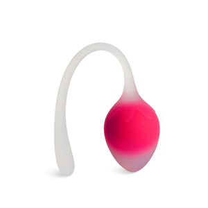 Sorbet