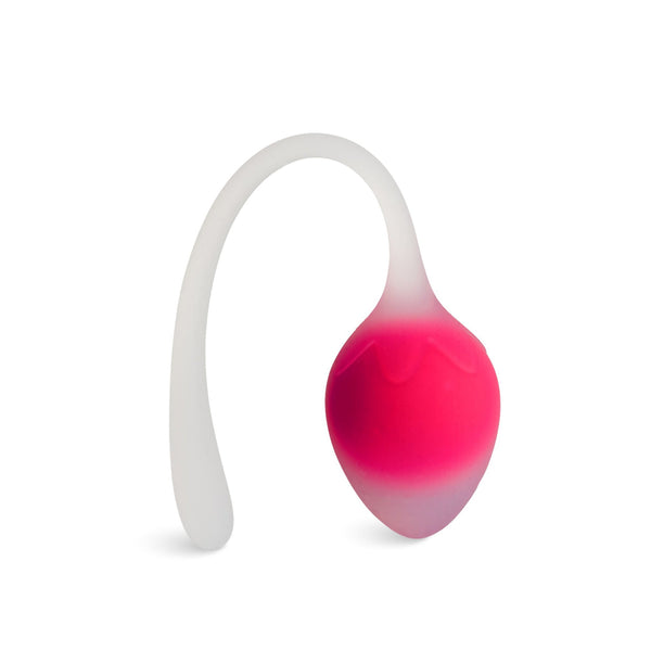 Sorbet