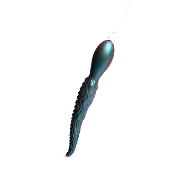 Squid